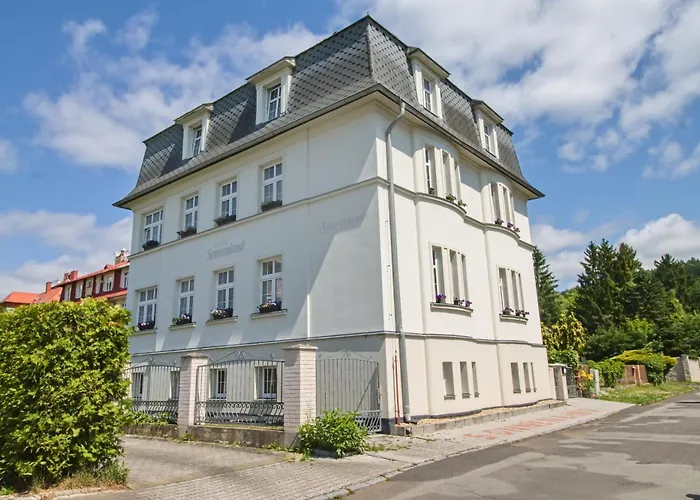 Patriot Марианске-Лазне